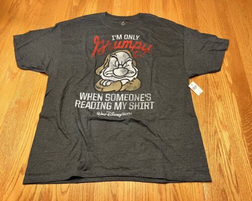 Disney T-shirt I'm Only Grumpy When Someone's Reading My T-shirt Size XL. New