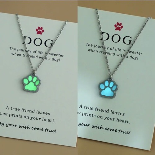 Glow In The Dark Pfotenabdruck Halskette für Kinder Tweens Teens Hund Pfotenabdruck Kette - Bild 1 von 3