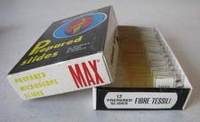 PREPARED MICROSCOPE SLIDES/VETRINI PER MICROSCOPIO ANNI 70