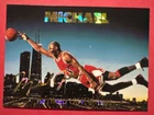 1993-94 Michael Jordan Arena Sports Retired Card