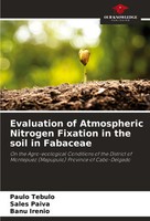 Paulo Tebulo (U. A.) | Evaluation Of Atmospheric Nitrogen Fixation In The...