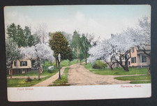 Fruit Street Florence MA Unposted UDB Postcard