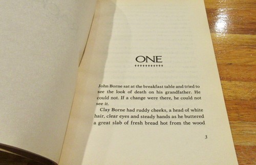 The NIGHT the WHITE DEER DIED ~ Gary Paulsen. 1991 Newbery Honor UNread! in MELB - Imagen 11 de 12