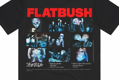 Flatbush Zombies AFTERLIFE T-SHIRT FBZ Large L T-shirt