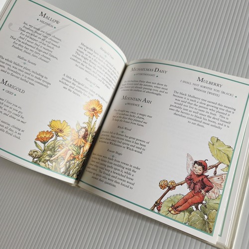 Flower Fairies The Meaning Of Flowers Cicely Mary Barker Hardcover Book 1996 - Picture 10 of 12