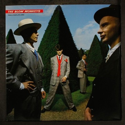 BLOW MONKEYS: this is your life long BMG 12'' LP 33 RPM United Kingdom