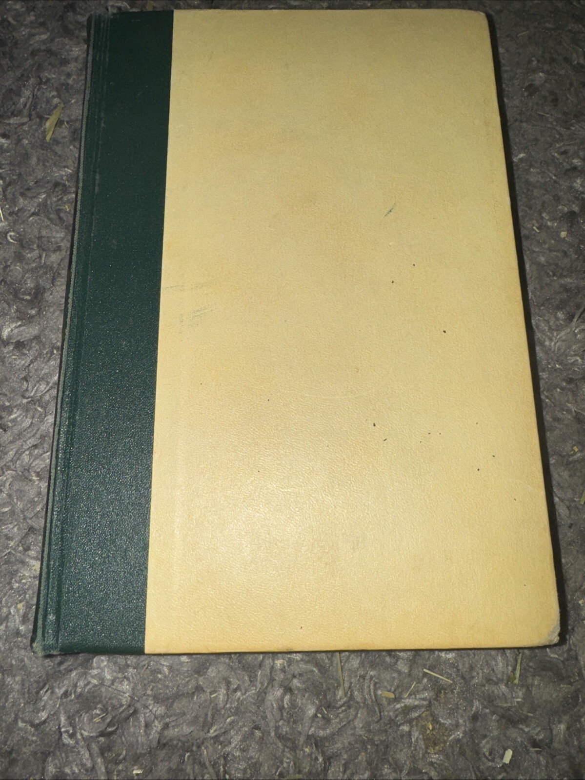 Picture 16 of 24