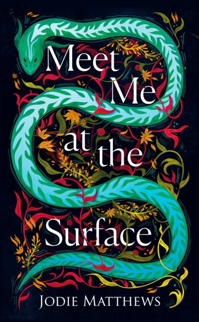 Meet Me at the Surface by Jodie Matthews (Hardback Book)