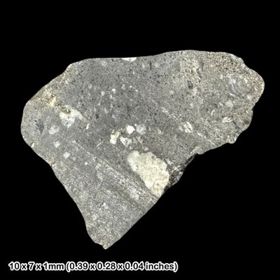 Rare Dhofar 490 Lunar Meteorite Slice Moon Rock Oman Genuine Space Rock Specimen