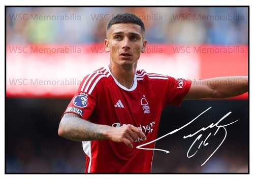 11347. Nicolas Dominguez Signed Pictures (A4 Prints) Nottm Forest Bologna etc.