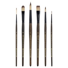 6 PCS Professional Watercolor Artist Paint Brushes Set Round Flat Filbert