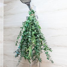 3kinds Natural Eucalyptus Stems 12PCS - 17inch 12PCS-17INCH, Green