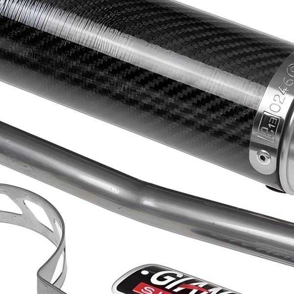 Auspuffanlage Giannelli Endtopf Carbon Mit ABE FüR Aprilia-image