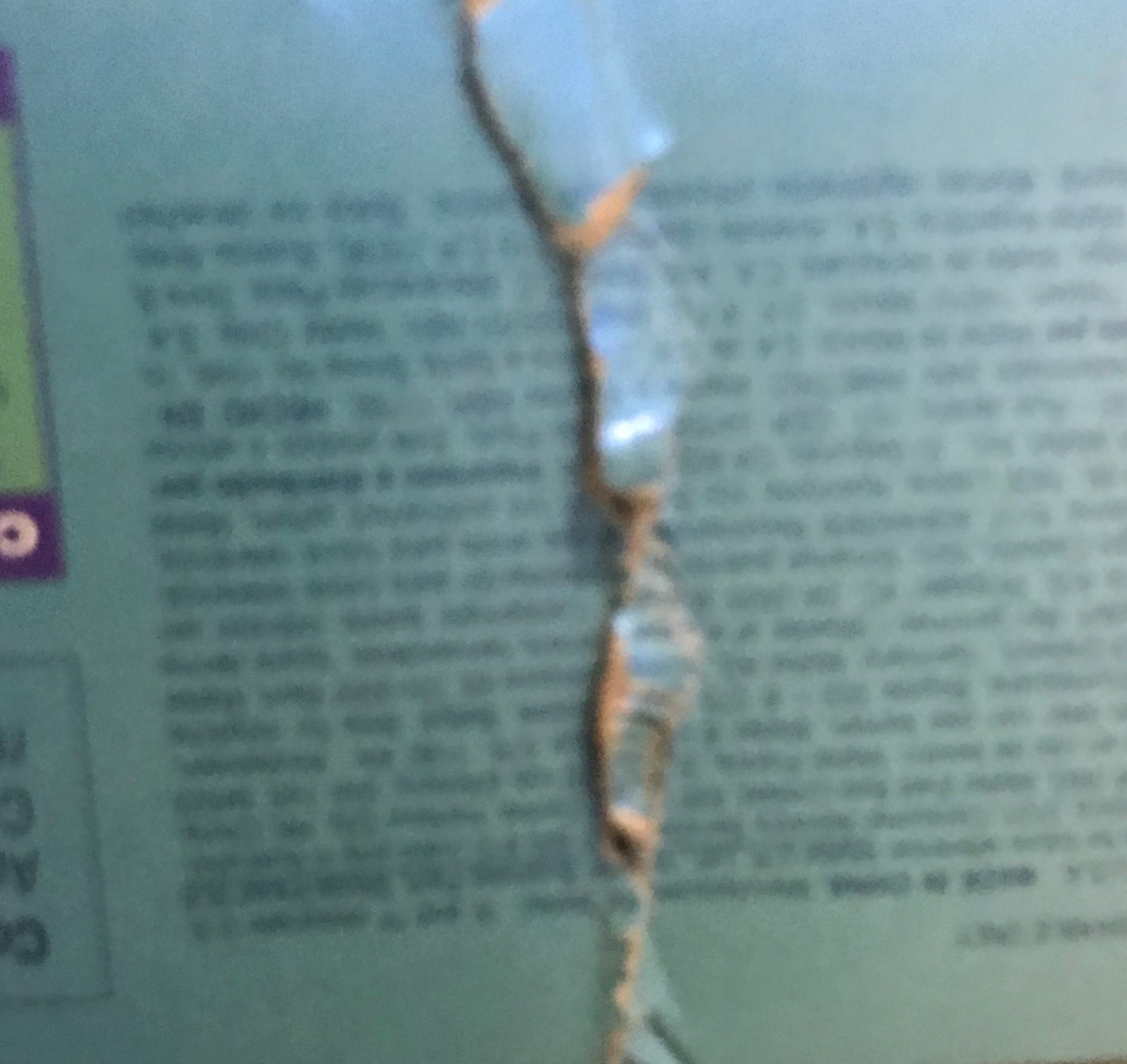 Picture 4 of 4