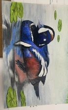 Original Color Pencil Harlequin Duck Drawing- Handmade