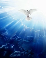 UNIQUE print picture- HOLY SPIRIT Dove in clouds Vintage poster print Home Decor