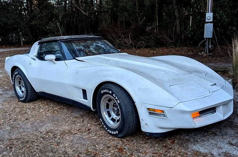 1981 Chevrolet Corvette for sale in Spartanburg South Carolina