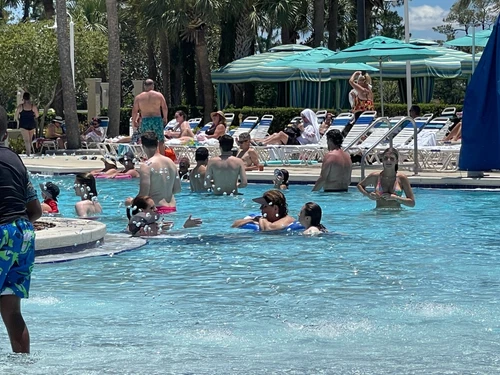 Holiday Inn Resort Orange Lake Golfschläger Vermietung Orlando Florida 1/2/3 BR 2025-27 - Bild 15 von 23
