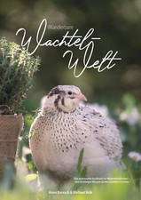 Meraviglioso Mondo di Quaglia