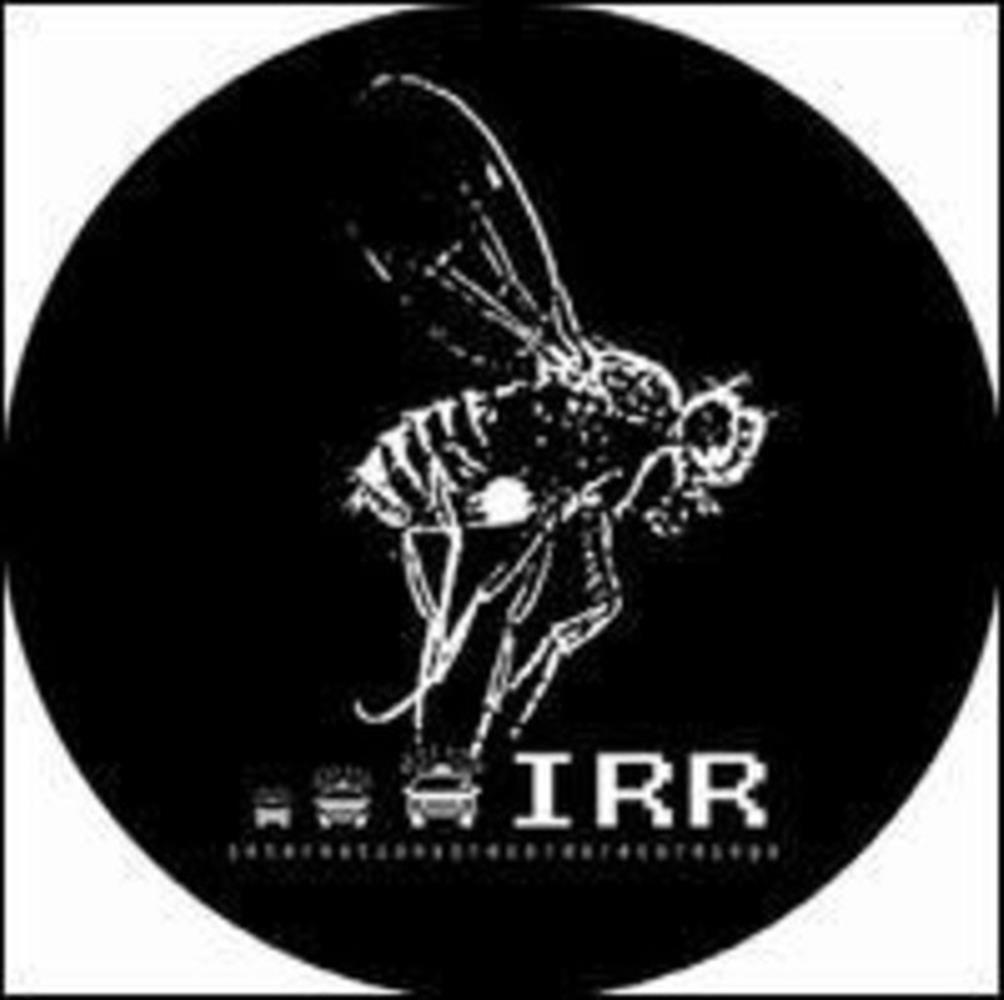 I Cant Exist - Hrdvsion (Vinile)