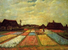 Oil painting Vincent Van Gogh - Bulb Fields sunset landscape canvas