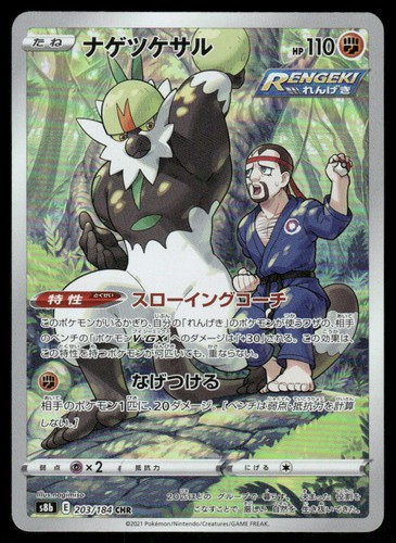 Passimian 203/184 Character Rare VMAX Climax Japanese