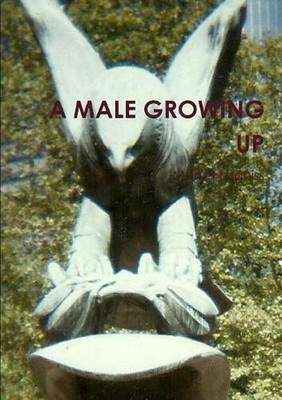 A Male Growing Up by Manet Legniss (English) Paperback Book
