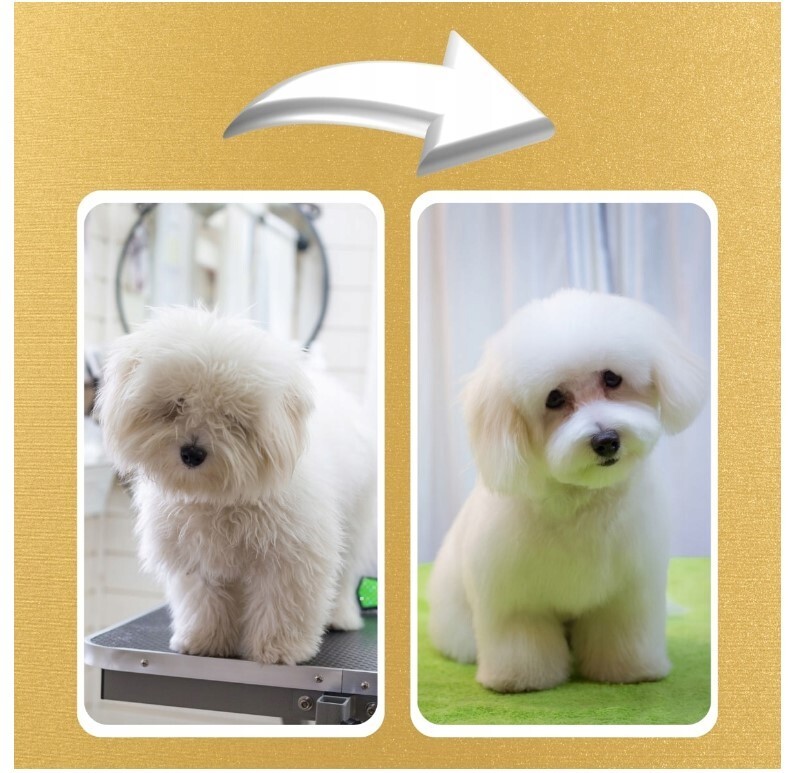 Dog Grooming Machine Anima Cut Hair Professional Cordless Pet Cutting ...