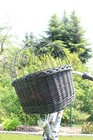 Foto 15 di 46