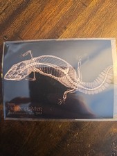2024 Topps Allen & Ginter Fat-Tailed Gecko X-Ray'd #XR-15