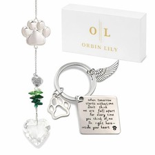 Pet Memorial Suncatcher Keychain Gift Set, Dog or Cat Loss Sympathy Gift, R...