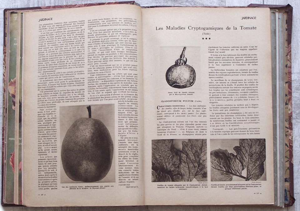 Recueil éditeur 1930/31 JARDINAGE revue mensuelle Georges TRUFFAUT 145 à 155 BE - Photo 4/4