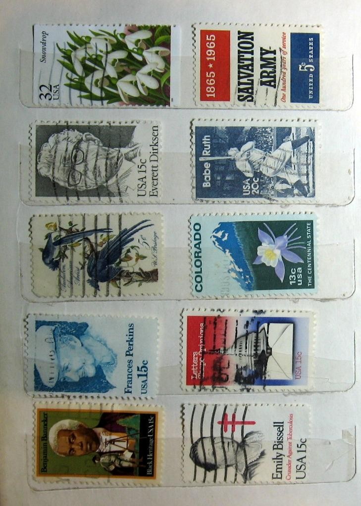 Picture 11 of 16
