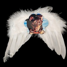 Customized Pet Memorial Angel Wings hanging Ornament