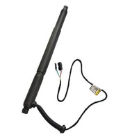 HeckklappendäMpfer Heckklappe Gasfeder Hinten Links FüR BMW X6 E71 E72 07-14