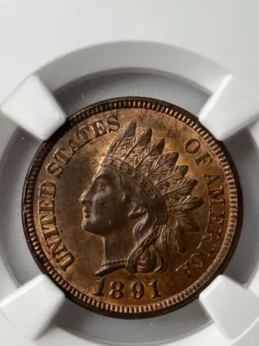 1891 P Indian Head Cent NGC MS63 RB