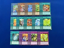 Yu-Gi-Oh! - Complete Mikanko Ritual Deck