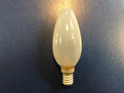 60 Watt Incandescent Light Bulbs