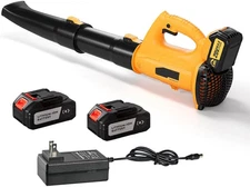Leaf Blower 21V Electric Cordless Leaf Blower with 2 Batteries and Charger,6 Spe