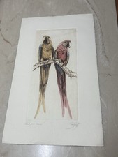 Sandy Scott Parrots Artist Proof Rare 15 X 9 Sandy Scott Parrots Artist Proof Rare 15 X 9