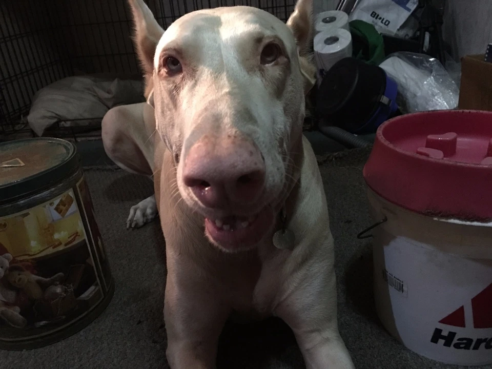 "Behind the Scenes at Creative Engineering" Video Series ** 6th Great Year! - Image 3 of 4