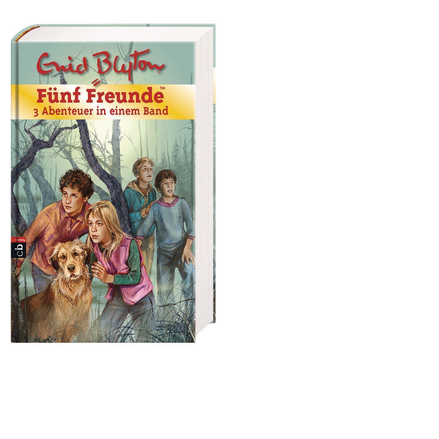 Thumbnail - Fünf Freunde. Sammelband 01 3 Abenteuer In Einem Band Enid Blyton Buch