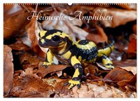 Heimische Amphibien (Wandkalender 2027 DIN A2 Quer), Calvendo Monatskalender