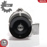 Esen SKV 18SKV002 Unterdruckpumpe FüR Bremsanlage Unterdruckpumpe