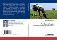 Ahmed Abd-Elmaksoud | The Bovine Testis | Taschenbuch | Englisch (2010) | 232 S.