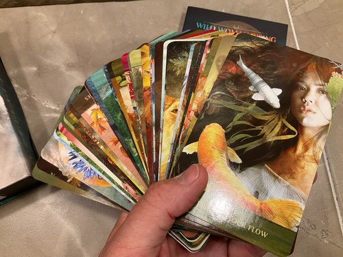Wild Women Rising Oracle Card Deck By Angi Sullins ~ 44 Card Deck + Guidebook - Picture 4 of 13