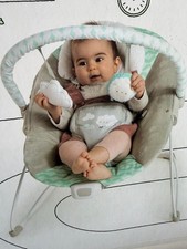 NEW Ingenuity Ity Bouncity Bounce Vibrating Deluxe Baby Bouncer Seat,0-6 months