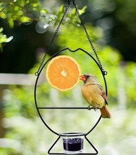 Prsildan Metall hängendes Oriole Vogelfutterhaus, Obsthalter, Gelee Trinkglas