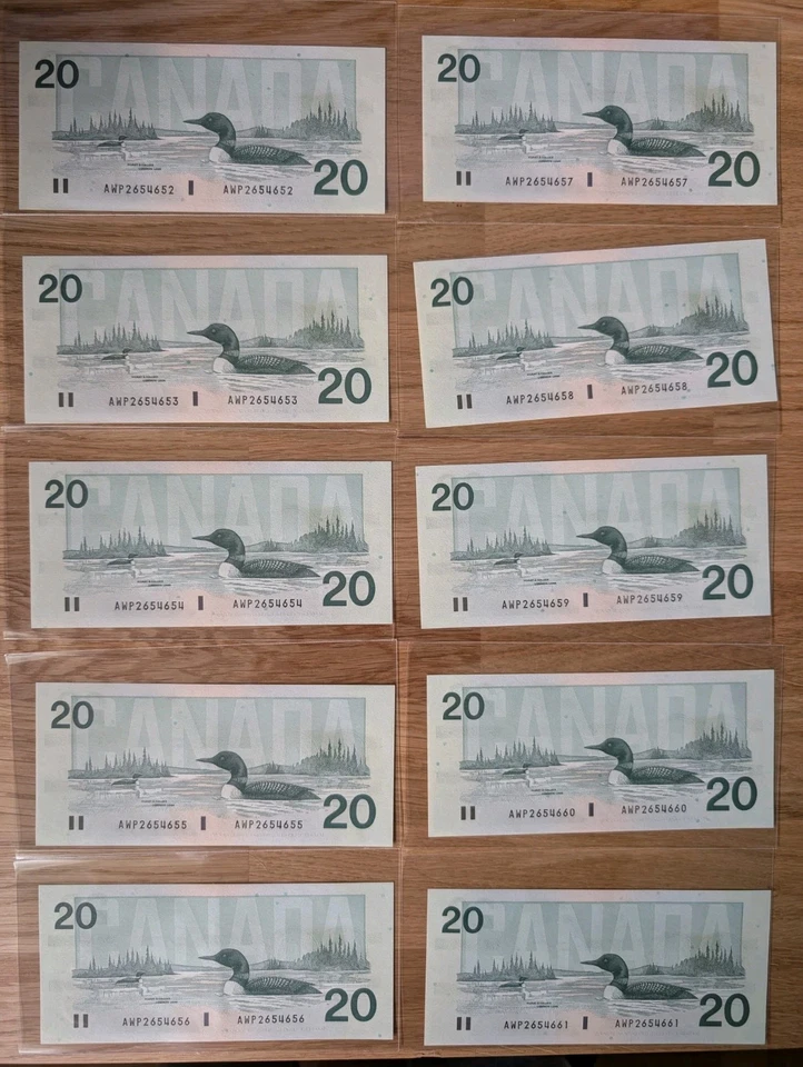 10 Sequential 1991 Canadian $20 Bills – Birds of Canada Series –... Foto 4 de 4