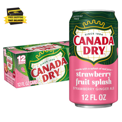 Fruit Splash Strawberry Ginger Ale Soda, 12 Fl Oz Cans, 12 Pack      
